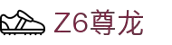 z6尊龙旗舰厅(中国)官方网站